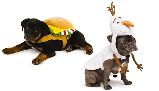 PetSmart Dog Costume