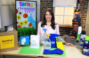 Spring Cleaning Tips with Justine Santaniello