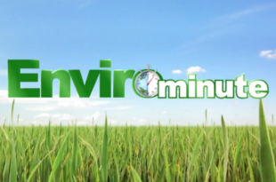 EnviroMinute