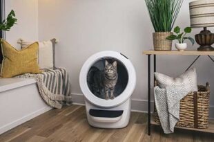 Litter-Robot 4