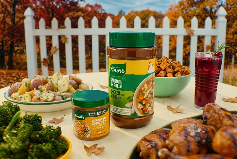 Knorr Granulated Chicken Bouillon & Knorr Roasted Chicken Premium Flavor Base
